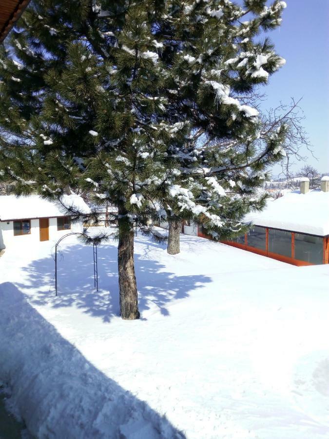Bolyarski Stan Guest House Veliki Preslav Esterno foto